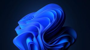 Windows 11 Upgrade Services